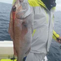 ブルドック 釣果