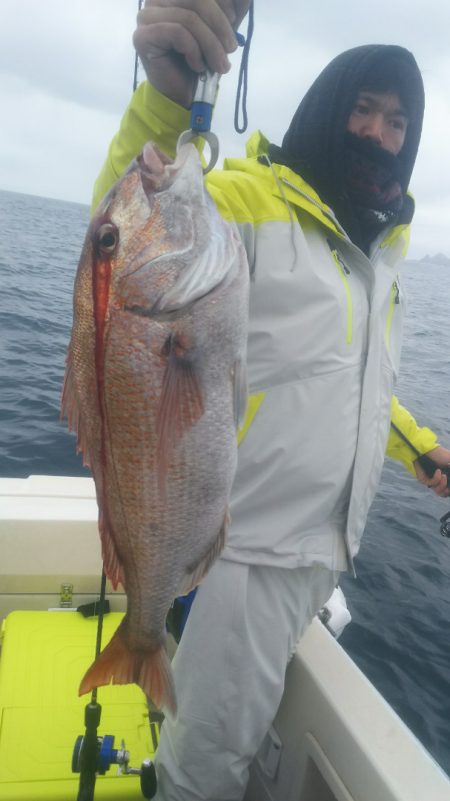 ブルドック 釣果