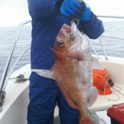 ブルドック 釣果