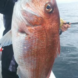 ブルドック 釣果