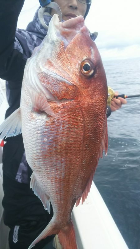 ブルドック 釣果