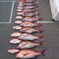 ARCADIAⅡ (アルカディアⅡ) 釣果