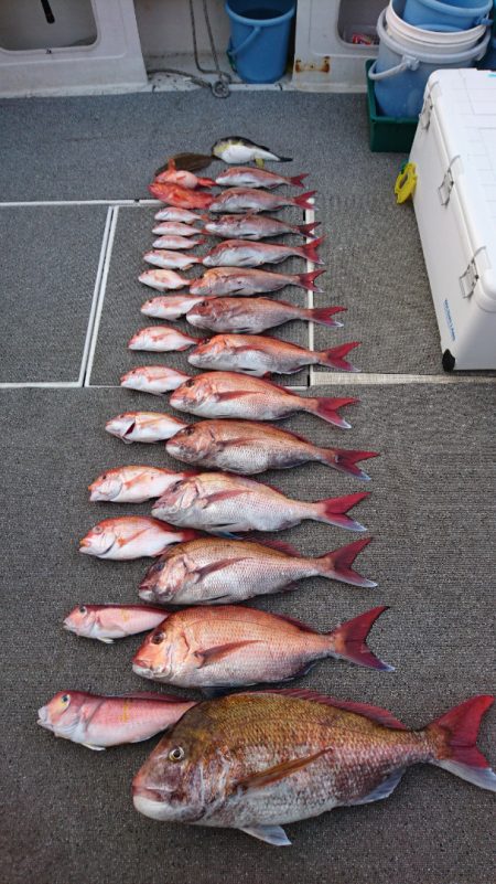 ARCADIAⅡ (アルカディアⅡ) 釣果