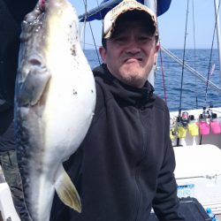 ARCADIAⅡ (アルカディアⅡ) 釣果