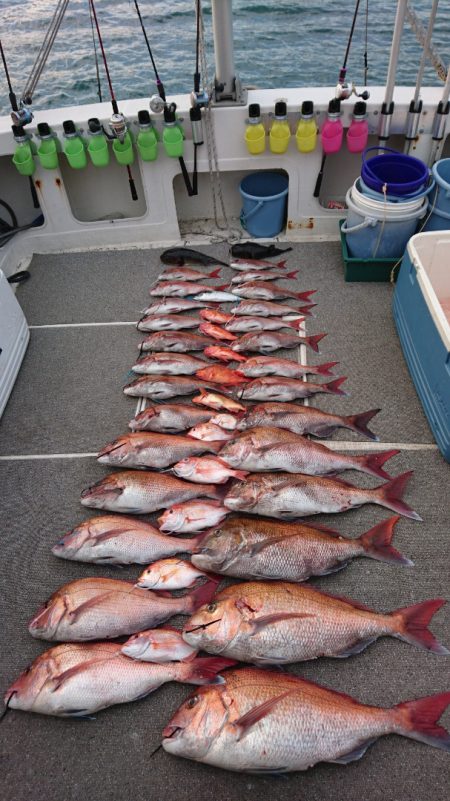 ARCADIAⅡ (アルカディアⅡ) 釣果