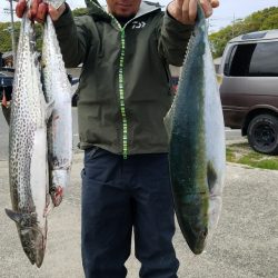 みやけ丸 釣果