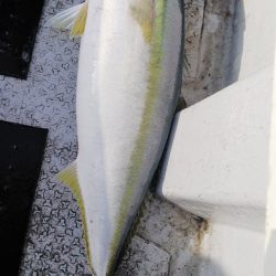 第二龍勢丸 釣果