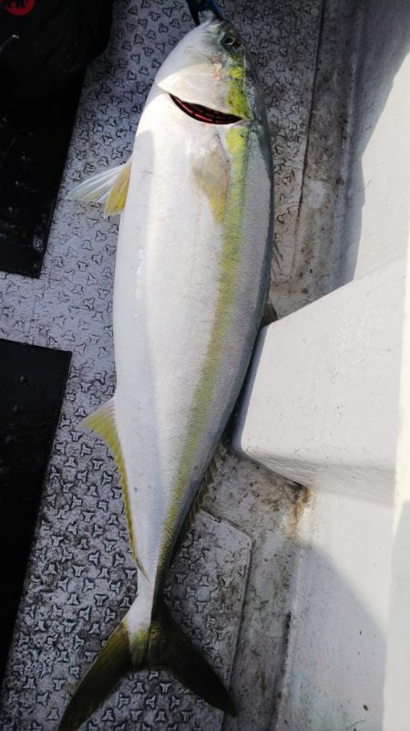 第二龍勢丸 釣果