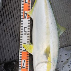 第二龍勢丸 釣果