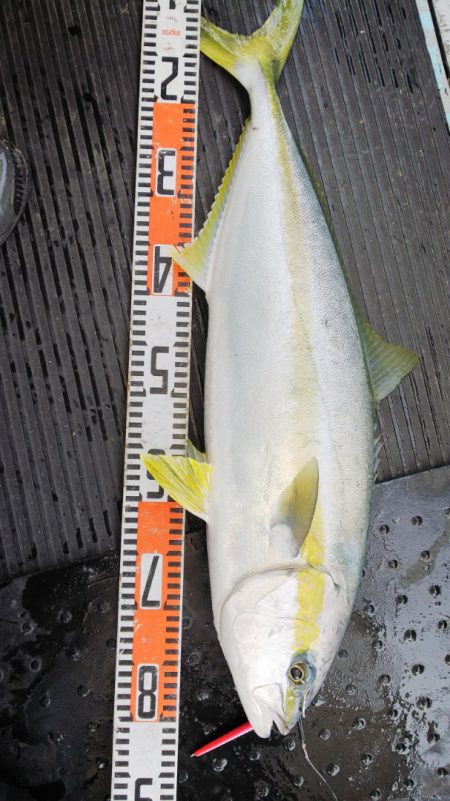 第二龍勢丸 釣果