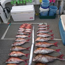 ARCADIAⅡ (アルカディアⅡ) 釣果