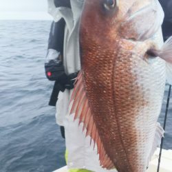 ブルドック 釣果