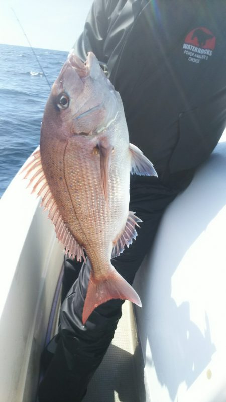 ブルドック 釣果