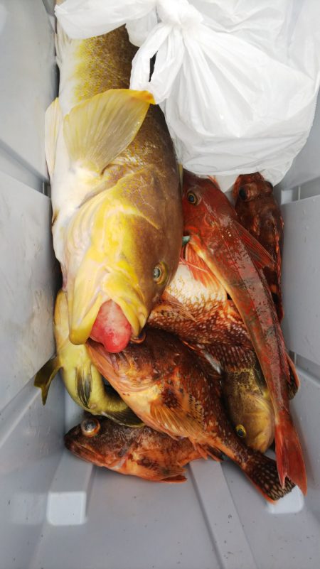 第二龍勢丸 釣果