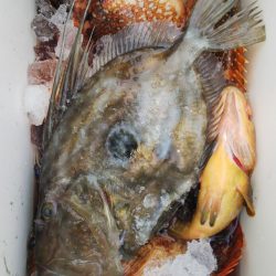 第二龍勢丸 釣果