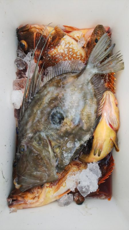 第二龍勢丸 釣果