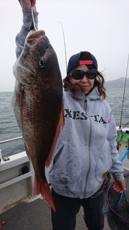 ARCADIAⅡ (アルカディアⅡ) 釣果