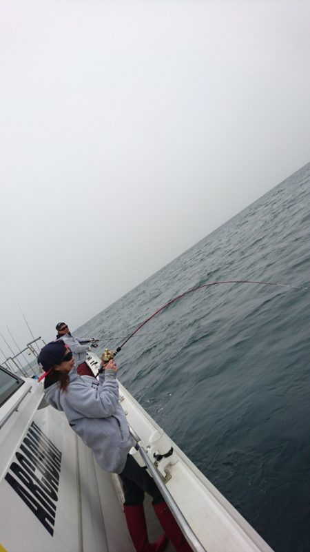 ARCADIAⅡ (アルカディアⅡ) 釣果