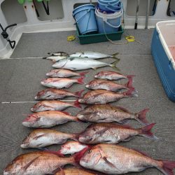 ARCADIAⅡ (アルカディアⅡ) 釣果