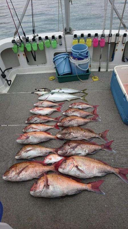 ARCADIAⅡ (アルカディアⅡ) 釣果