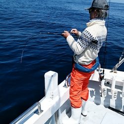 LUSTER『ラスター』 釣果