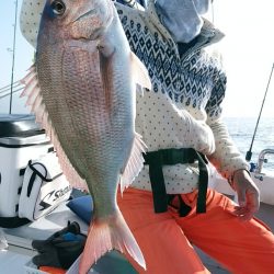 LUSTER『ラスター』 釣果