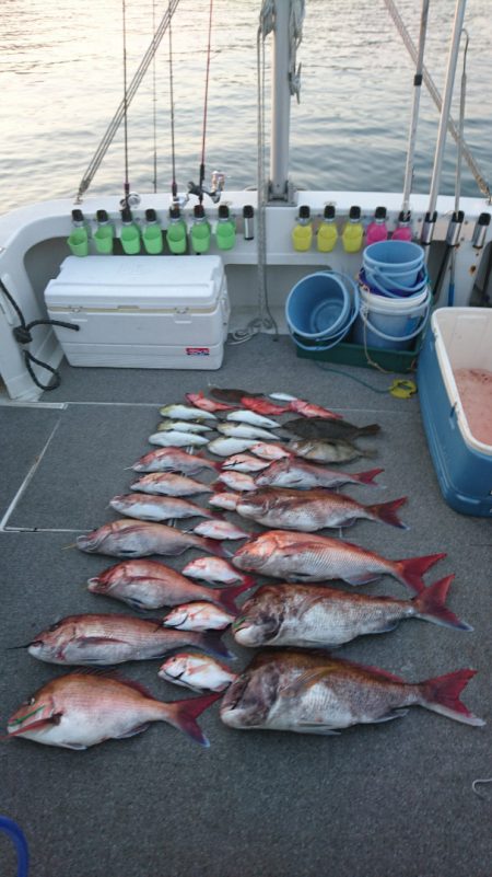 ARCADIAⅡ (アルカディアⅡ) 釣果