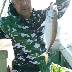 小島丸 釣果