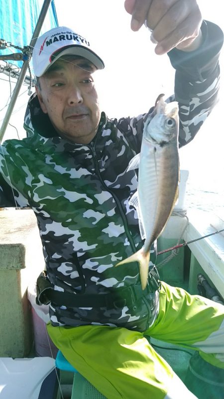 小島丸 釣果