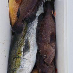 第二龍勢丸 釣果