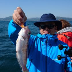 ARCADIAⅡ (アルカディアⅡ) 釣果