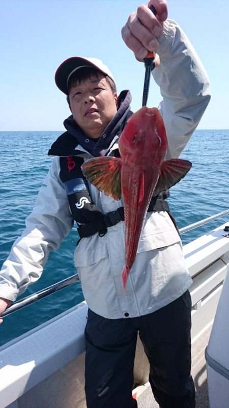 ARCADIAⅡ (アルカディアⅡ) 釣果