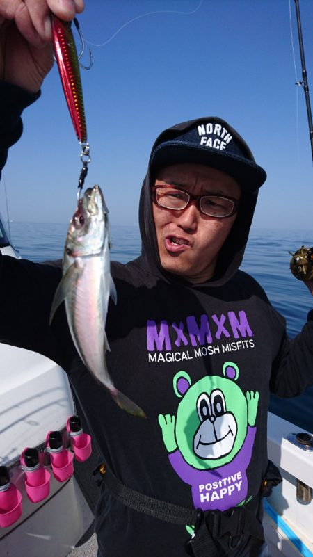 ARCADIAⅡ (アルカディアⅡ) 釣果