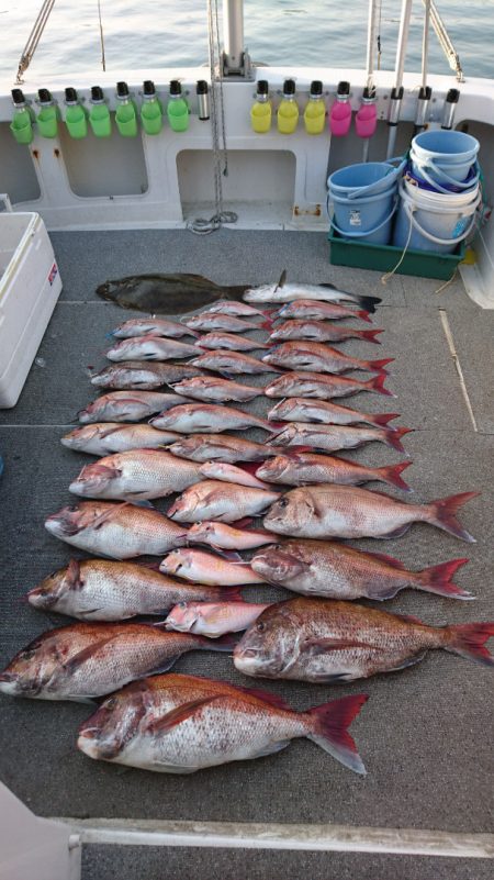 ARCADIAⅡ (アルカディアⅡ) 釣果