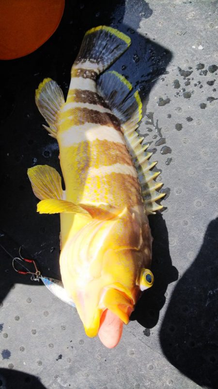 第二龍勢丸 釣果