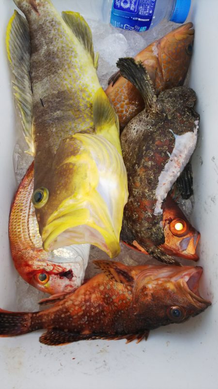 第二龍勢丸 釣果