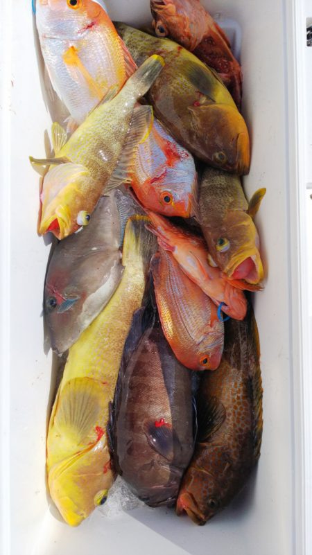 第二龍勢丸 釣果