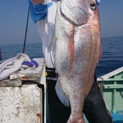 だて丸 釣果