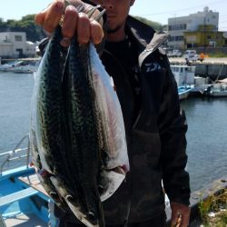 みやけ丸 釣果