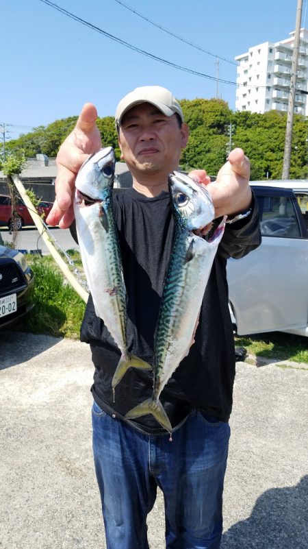みやけ丸 釣果