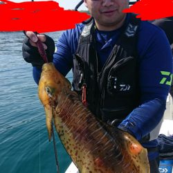 きずなまりん 釣果