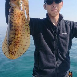 きずなまりん 釣果