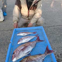 第三共栄丸 釣果