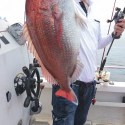 ARCADIAⅡ （アルカディアⅡ） 釣果