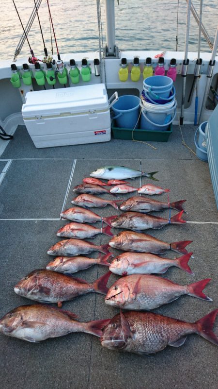 ARCADIAⅡ （アルカディアⅡ） 釣果