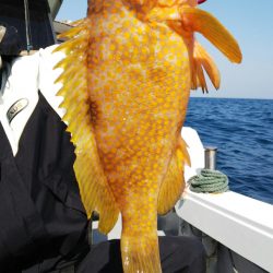 第二龍勢丸 釣果