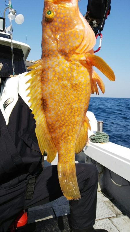 第二龍勢丸 釣果