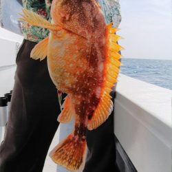 第二龍勢丸 釣果