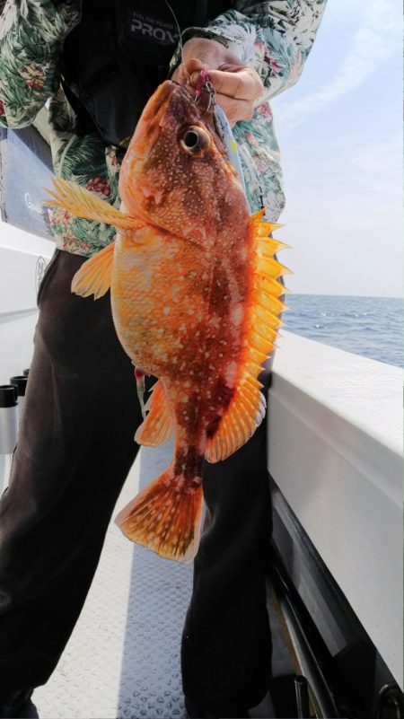 第二龍勢丸 釣果