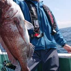 だて丸 釣果